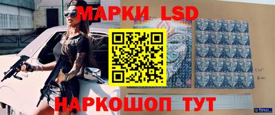 PSILOCYBIN Гатчина
