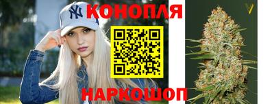 спайс Гай