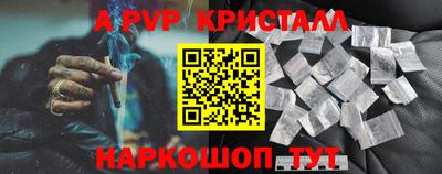 PSILOCYBIN Гатчина