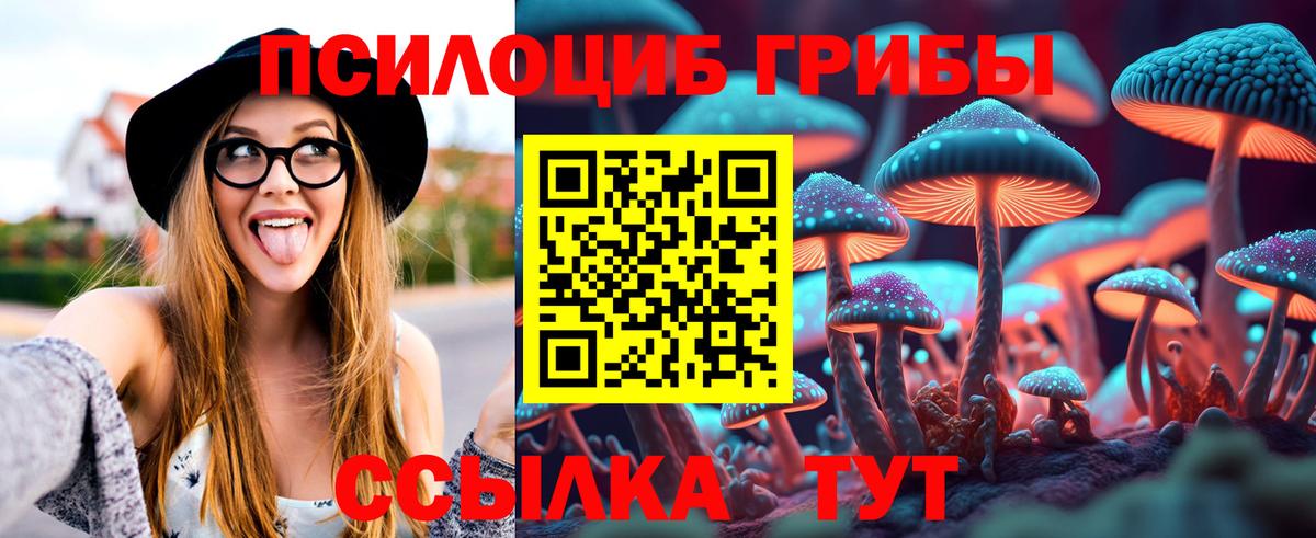 Псилоцибиновые грибы прущие грибы Кандалакша