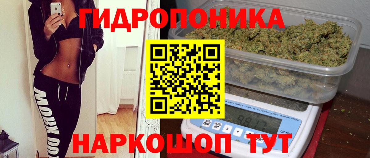 Конопля планчик  Вход с VPN  Бошки Шишки семена  Кандалакша  Канабис AK-47  Бошки марихуана Ganja 